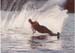 001Bradwaterski